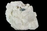 Aquamarine Crystal in Albite Crystal Matrix - Pakistan #111353-2